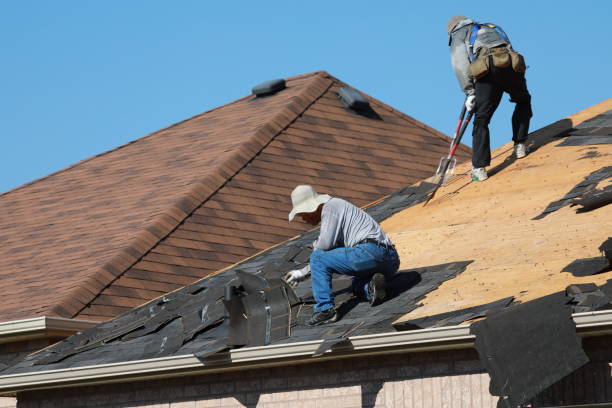 Best Asphalt Shingle Roofing  in Worth, IL