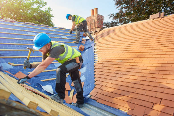 Best Solar Panel Roofing Installation  in Worth, IL